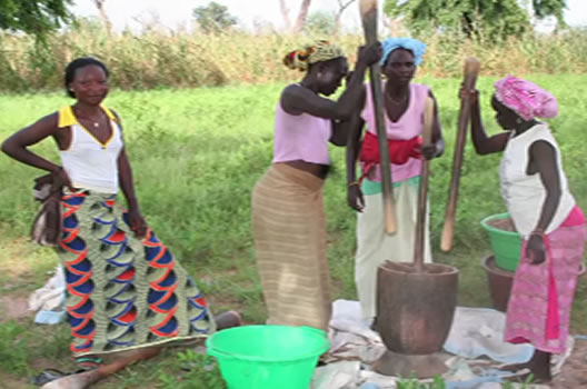 Women pounding fonio